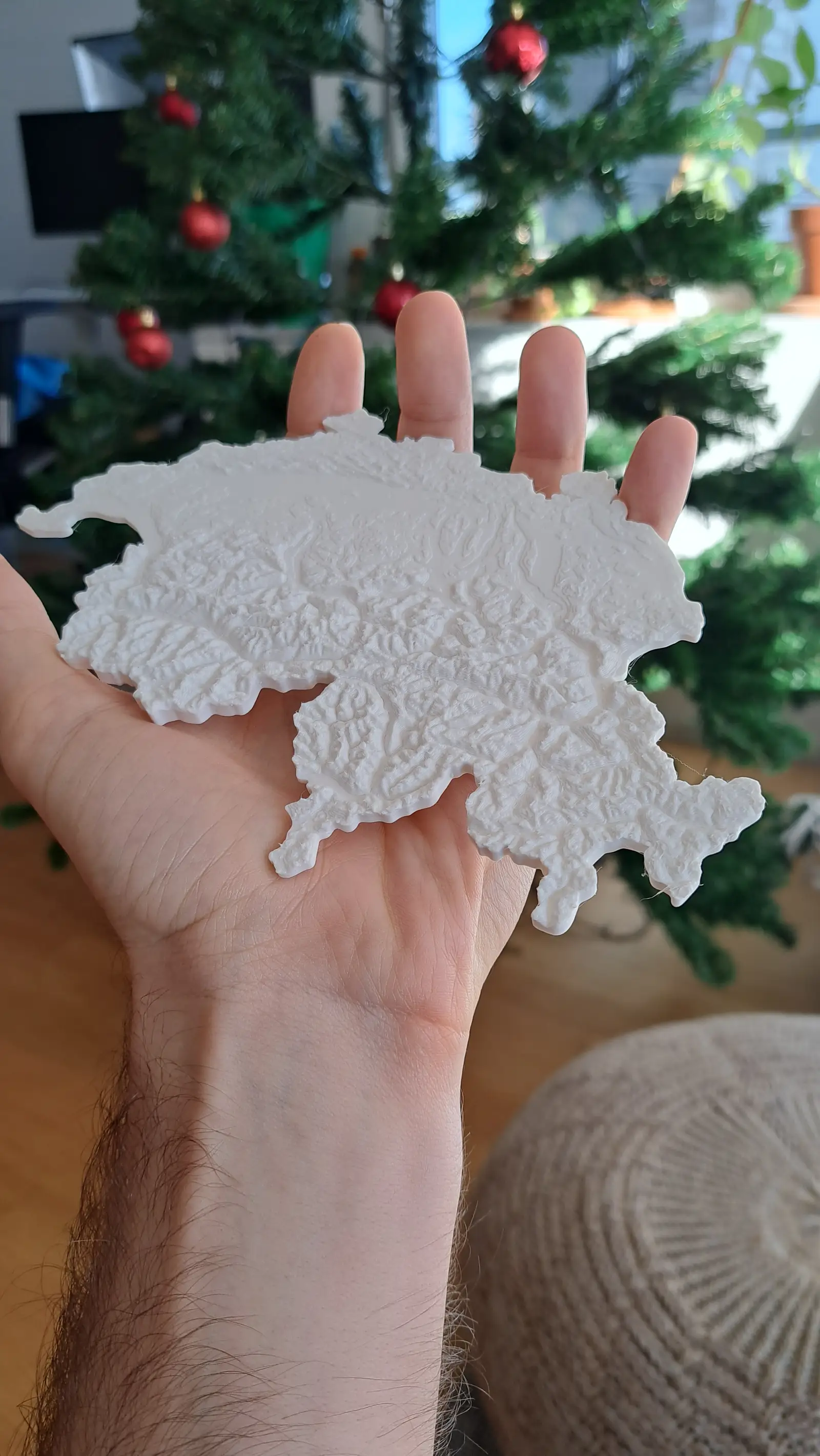A white printed relief of Switzerland held in the palm of a hand, a Christmas tree behind it